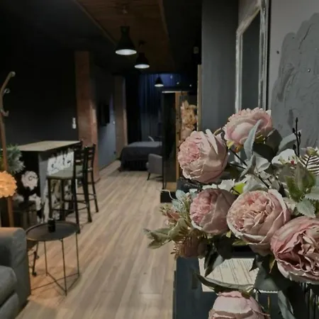 Old Town Apartament Bucureşti